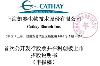 凱賽生物IPO:存在安全生產風險,曾深陷專利糾紛,票據流轉、轉貸等違規不斷