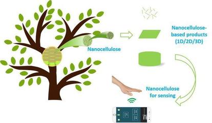 喜訊!陜西科技大學(xué)科研取得重要進(jìn)展,在國(guó)際頂級(jí)期刊發(fā)表論文!