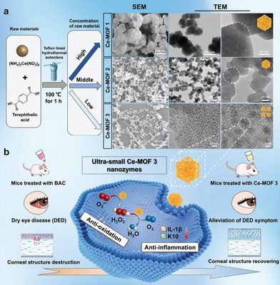 干眼治療新路徑!復旦團隊研發(fā)納米酶"刷"掉過量眼表活性氧