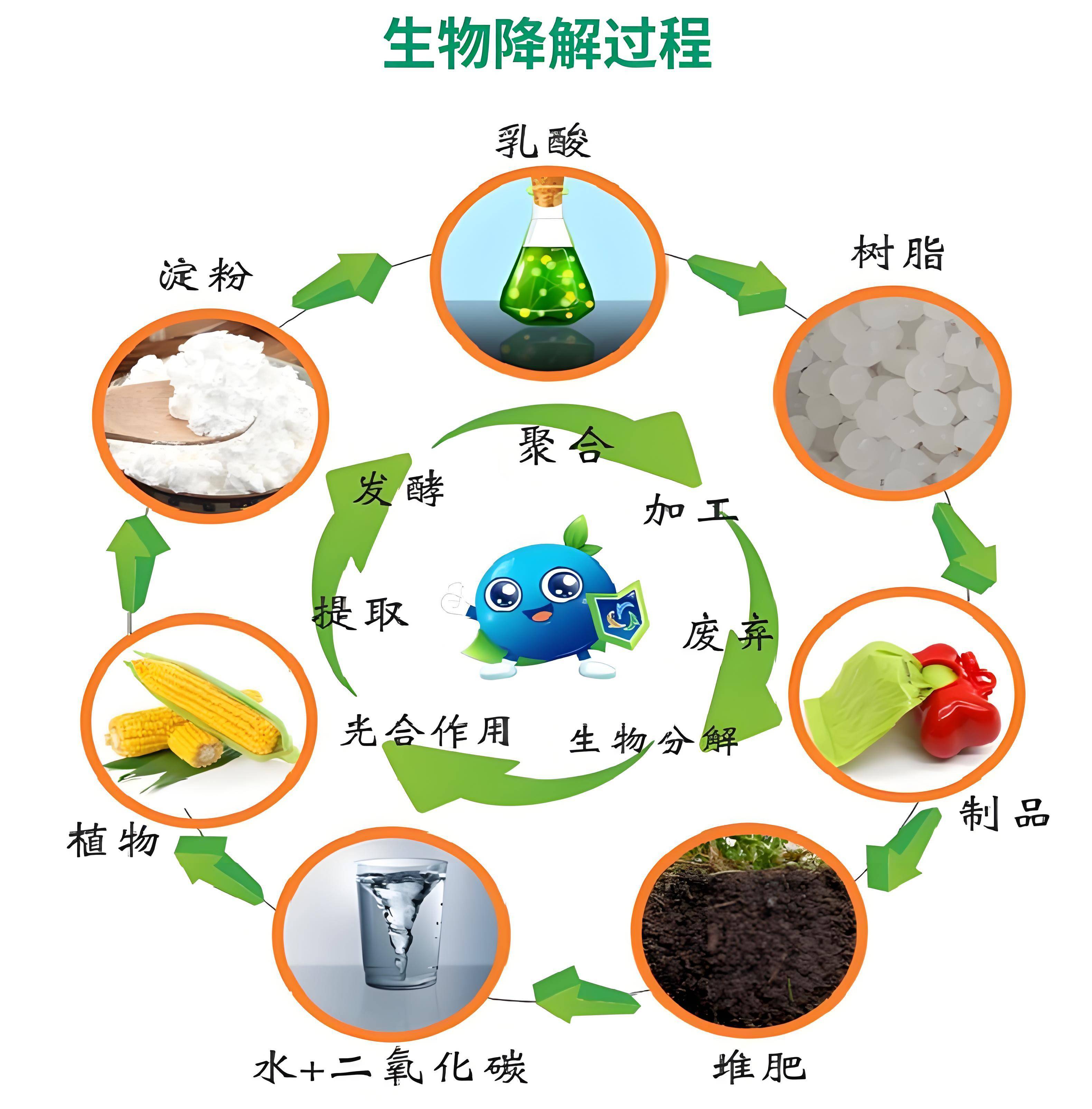生物基材料&ne;生物降解材料:深入剖析兩大環保材料的本質差異與關聯