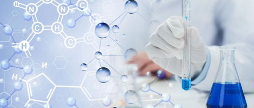 PE發(fā)泡塑料配方分析與檢測標(biāo)準(zhǔn)及生物基材料技術(shù)研發(fā)