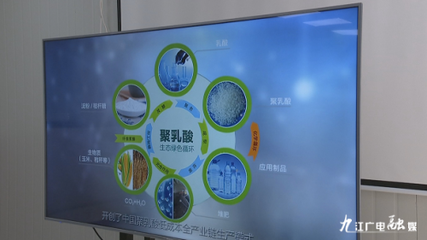 羅小云副省長赴潯調(diào)研聚乳酸全產(chǎn)業(yè)鏈項目，聚焦生物基材料研發(fā)新進展