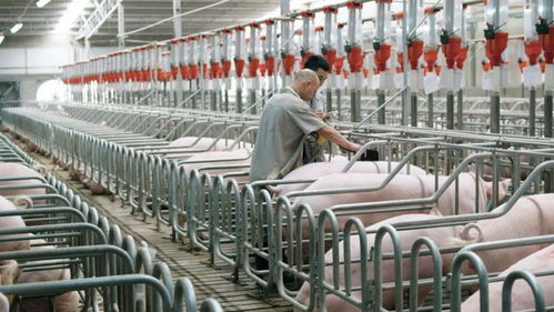 數(shù)字經(jīng)濟與生物基材料創(chuàng)新 2024年上半年經(jīng)濟實力躍升的雙引擎