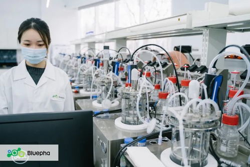 藍(lán)晶微生物獲15億元B輪系列融資，元生資本與混改基金領(lǐng)投，加速生物基材料研發(fā)