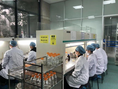 生物選考沖刺提分秘籍 高中生物實驗訓(xùn)練營寒假開啟，助力未來生物基材料技術(shù)研發(fā)