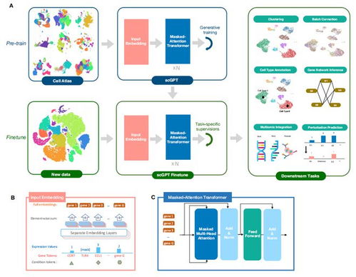 首個單細胞生物學基礎大型語言模型 生物基材料技術研發(fā)的新里程碑